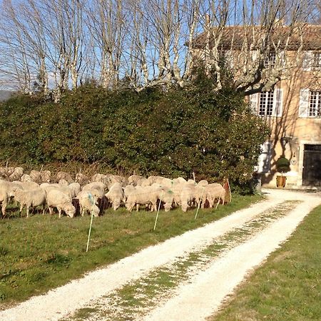 B&B Domaine Le Clos Du Pavillon Brignoles Dış mekan fotoğraf