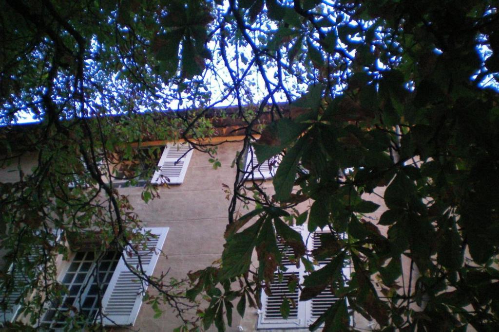 B&B Domaine Le Clos Du Pavillon Brignoles Dış mekan fotoğraf