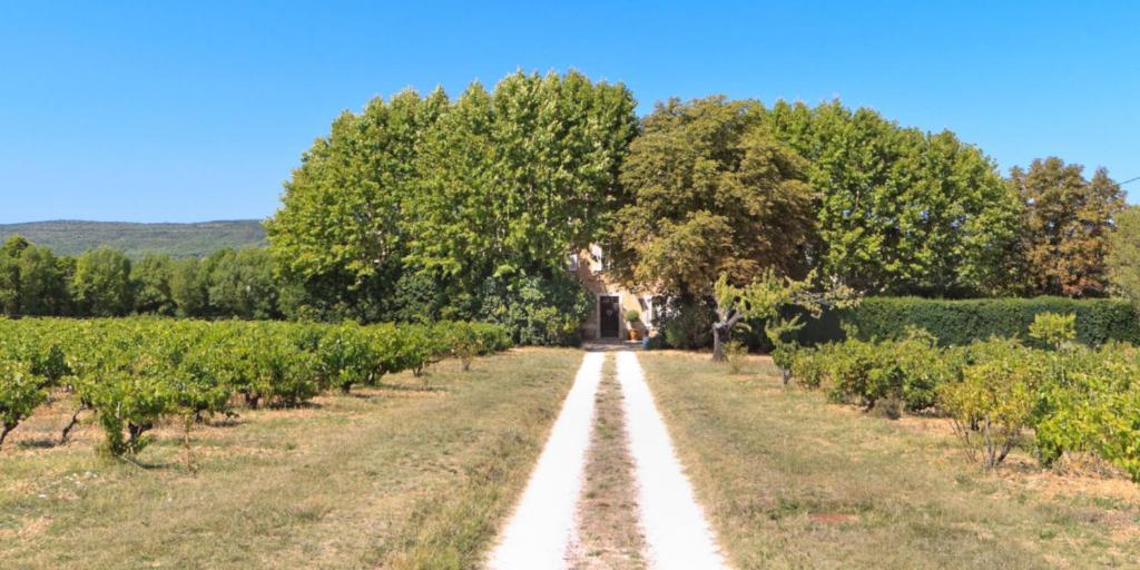 B&B Domaine Le Clos Du Pavillon Brignoles Dış mekan fotoğraf
