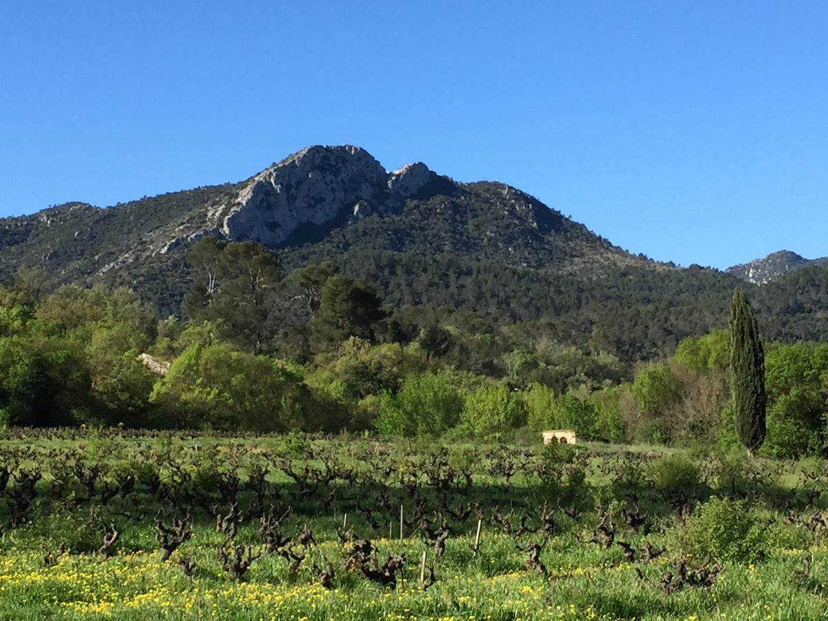 B&B Domaine Le Clos Du Pavillon Brignoles Dış mekan fotoğraf