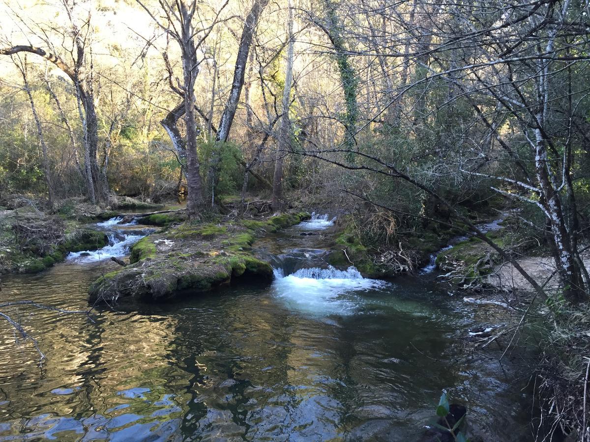 B&B Domaine Le Clos Du Pavillon Brignoles Dış mekan fotoğraf